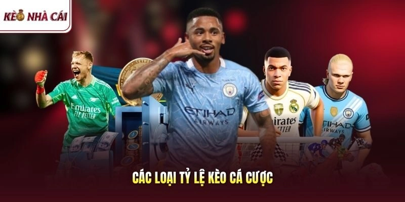 Các Loại Tỷ Lệ Kèo Cá Cược